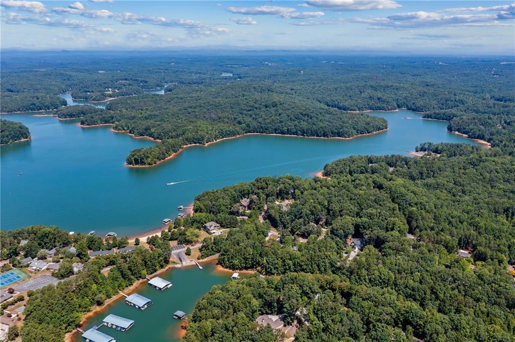 Image 3: Lot is in this area