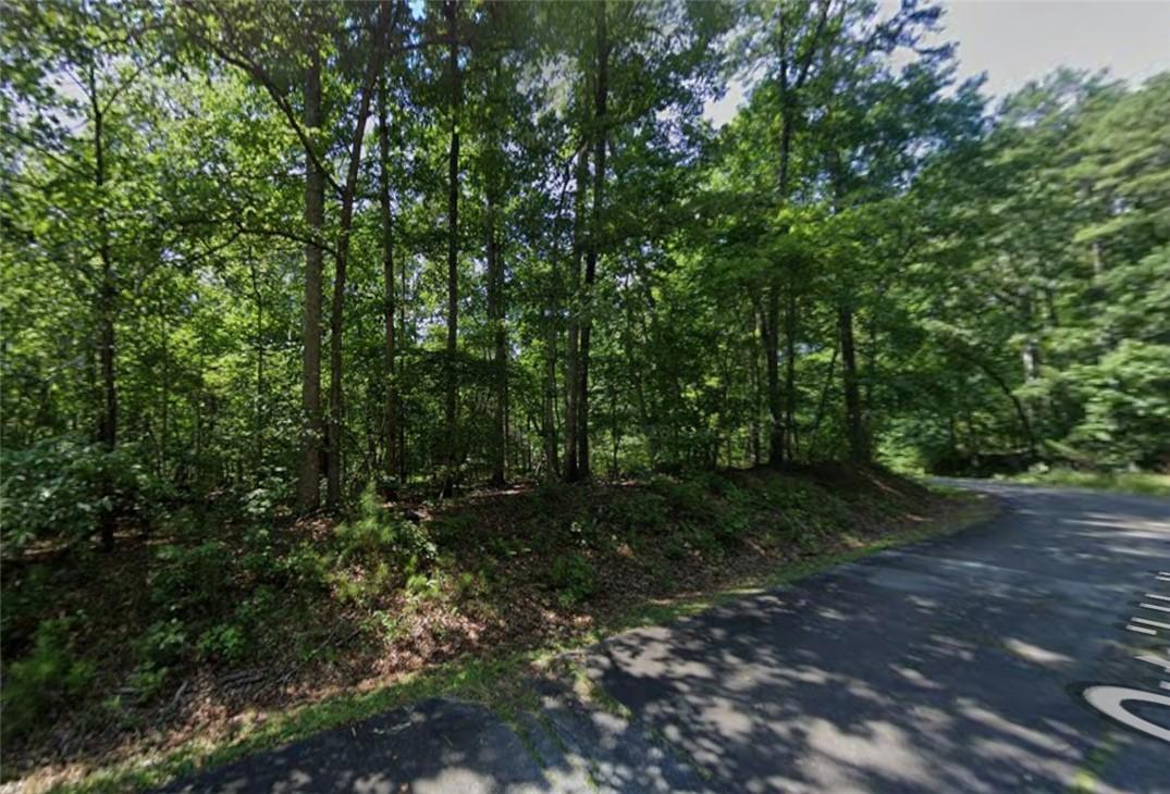 Image 1: Mature trees line this substantial lot, offering a