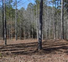 Lot 5 Stokes Drive
