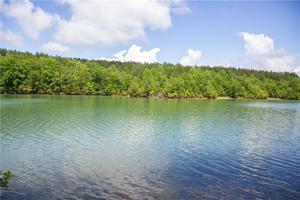Lot 10 Spring Hollow Bark Shed Trail