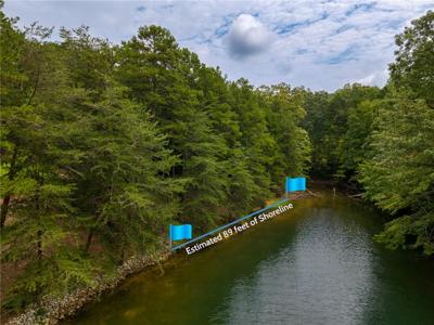 00 Pinnacle Point Drive
