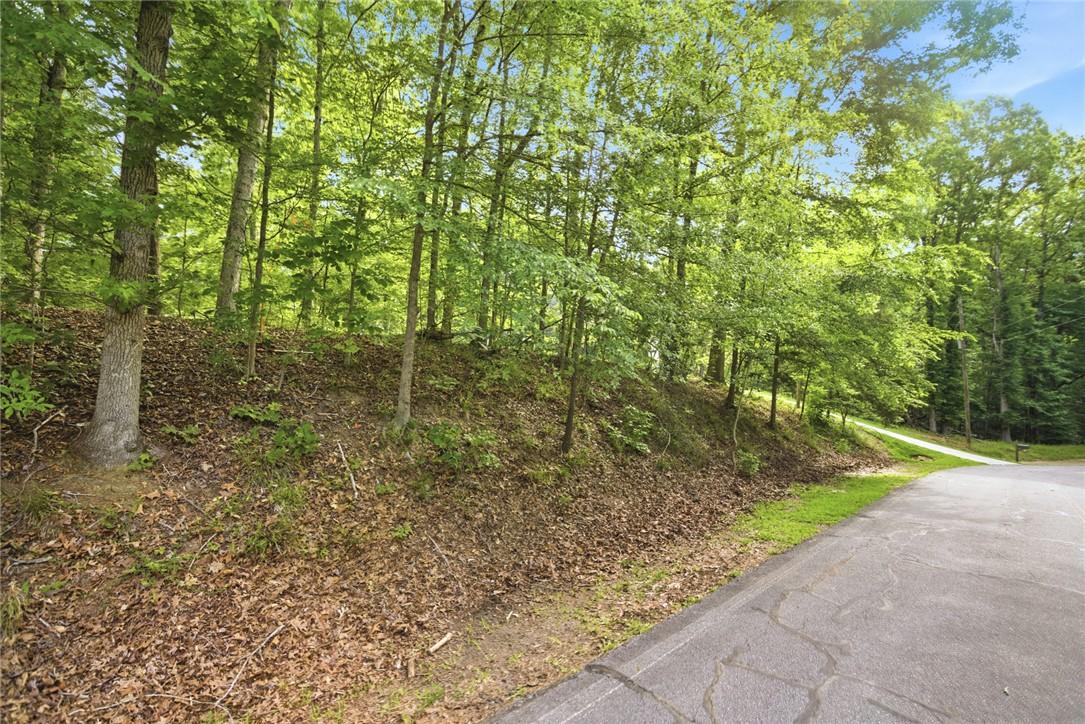 Image 3: Mature trees line this tranquil lot, offering natu