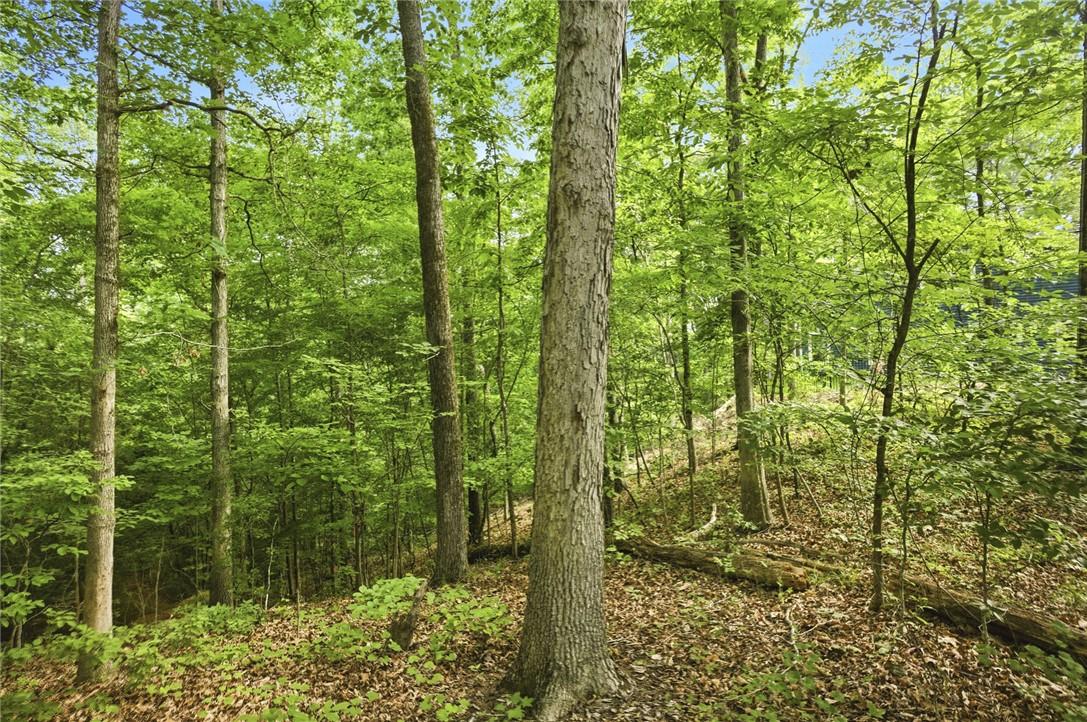 Image 4: A verdant, tree-filled landscape offers a peaceful