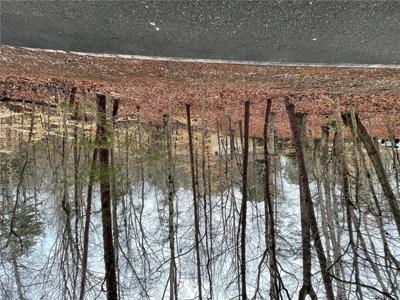 Lot 43 Chickasaw Drive