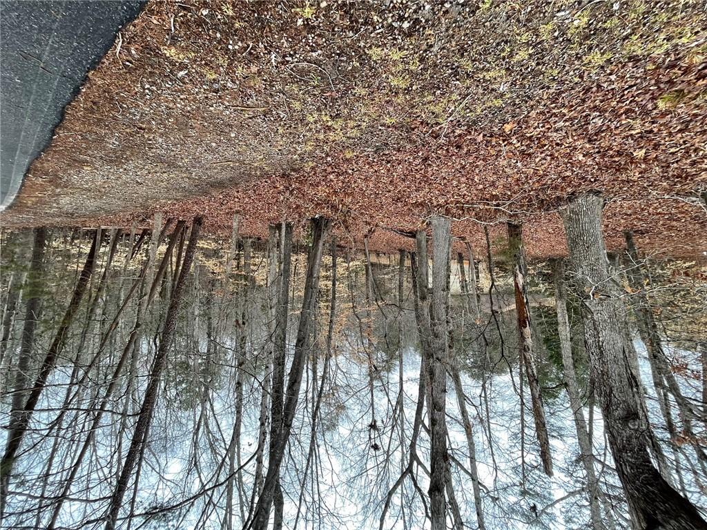 Image 4: A tranquil wooded landscape with mature trees and