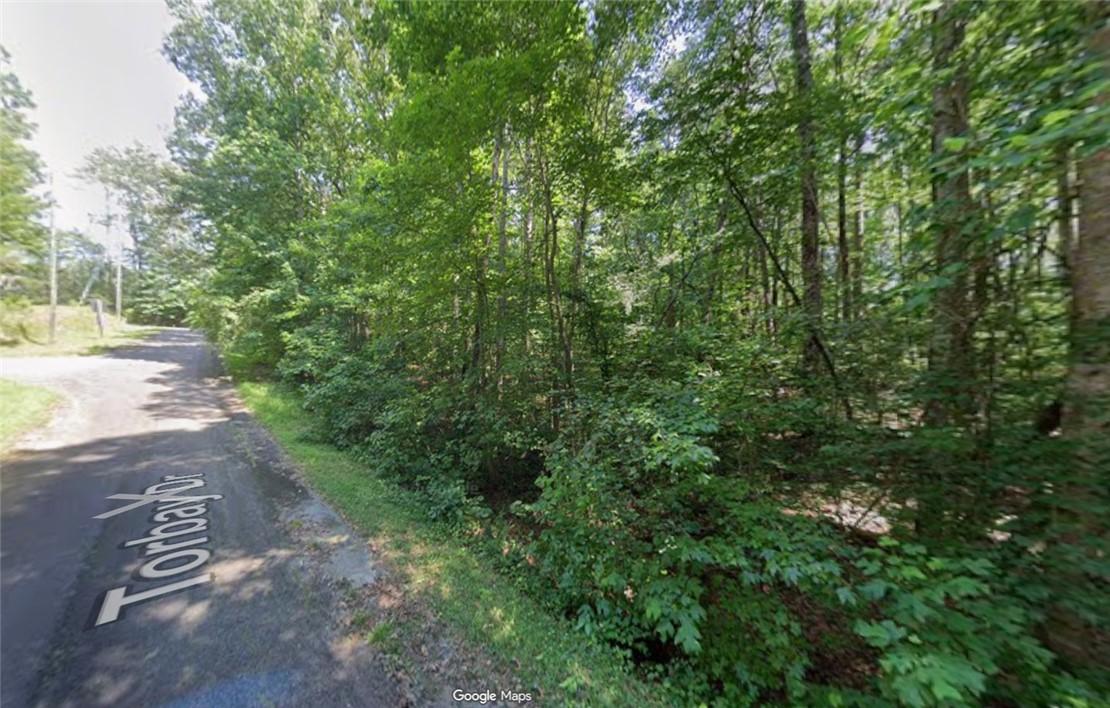 Image 1: Mature trees frame a quiet road, offering a seclud