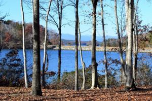 Lot 43 Waterscape Drive