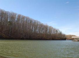 lot 6 Dobbs Lake Road