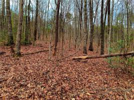 95 Painter Creek Road