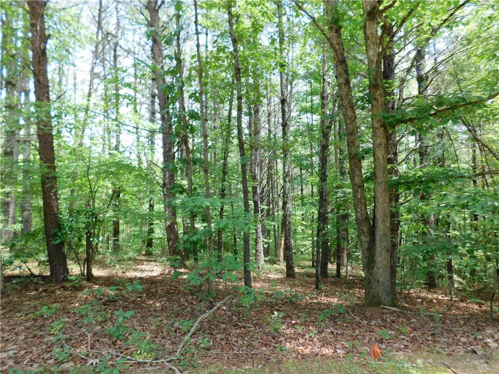 Lot 41 Vineyard Park, Sunset, SC lhrmls02207822