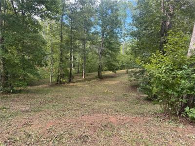 Lot 49 Stardust Lane