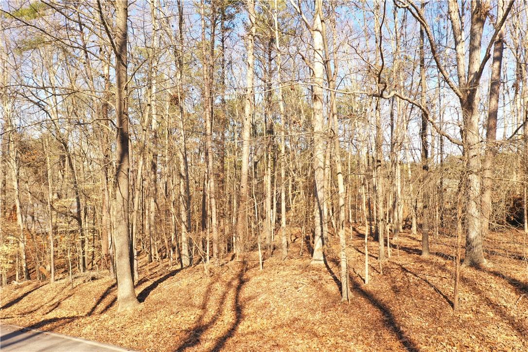 Image 2: Mature trees blanket this expansive lot, providing