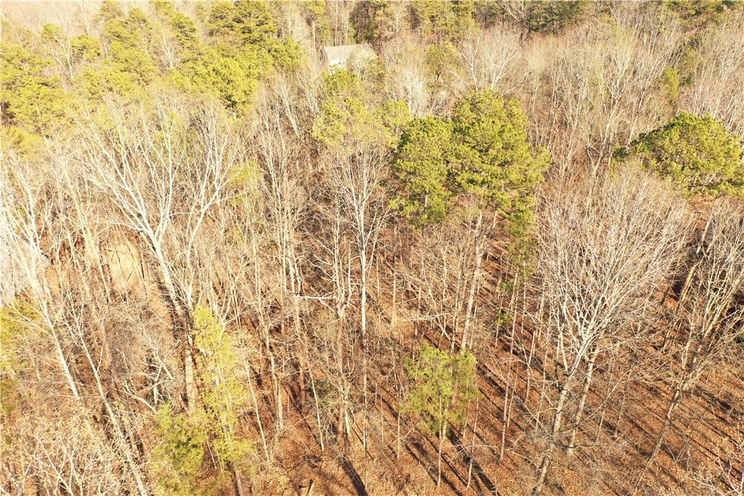Image 4: This expansive lot offers a tranquil, private sett