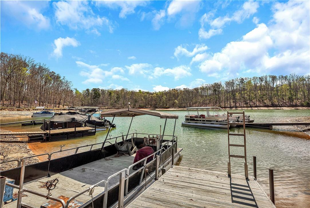Image 3: Platform Dock In Place