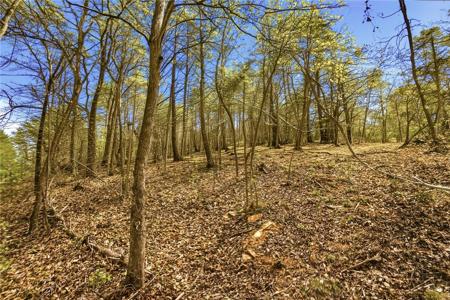 Lot 36 Brandywine Drive