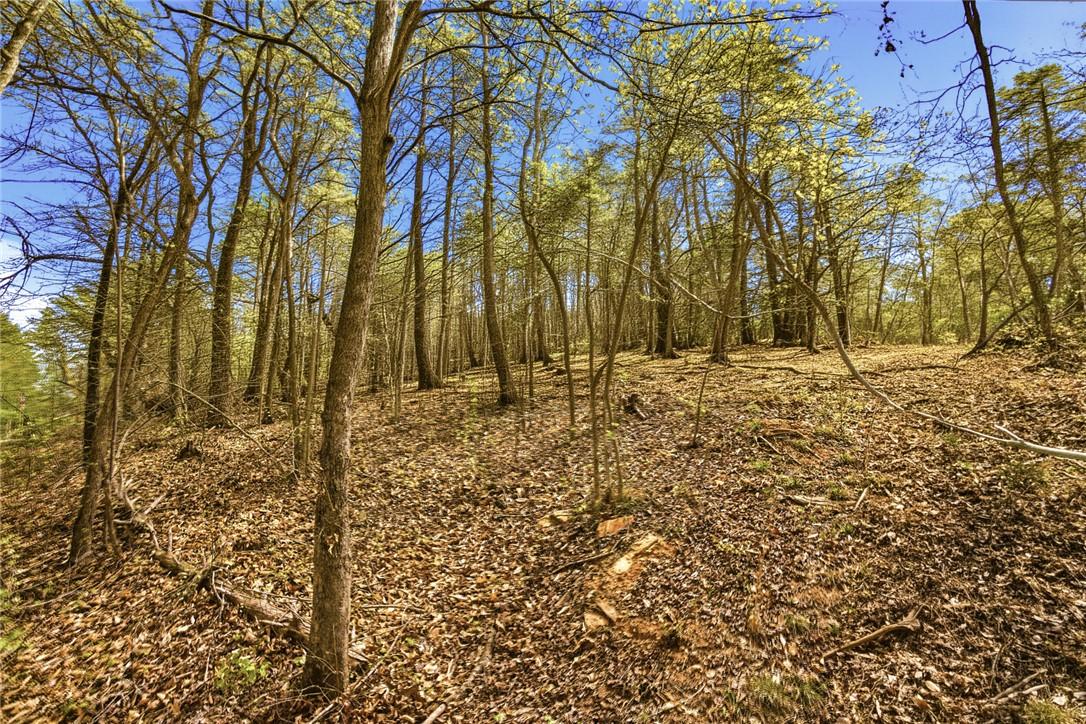 Image 1: This verdant expanse offers abundant natural beaut
