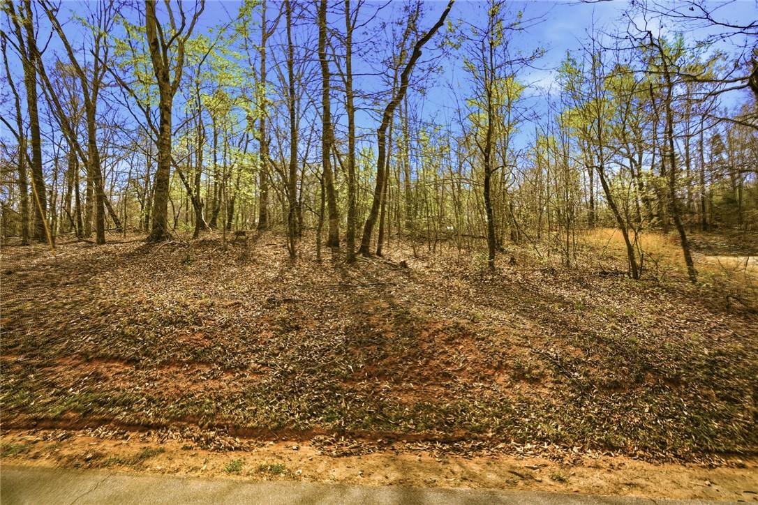 Image 2: This scenic parcel offers a natural, wooded settin