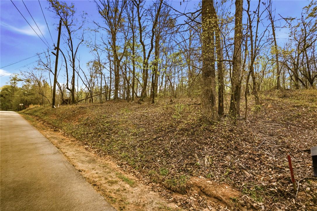 Image 4: This scenic lot offers a wooded landscape, providi