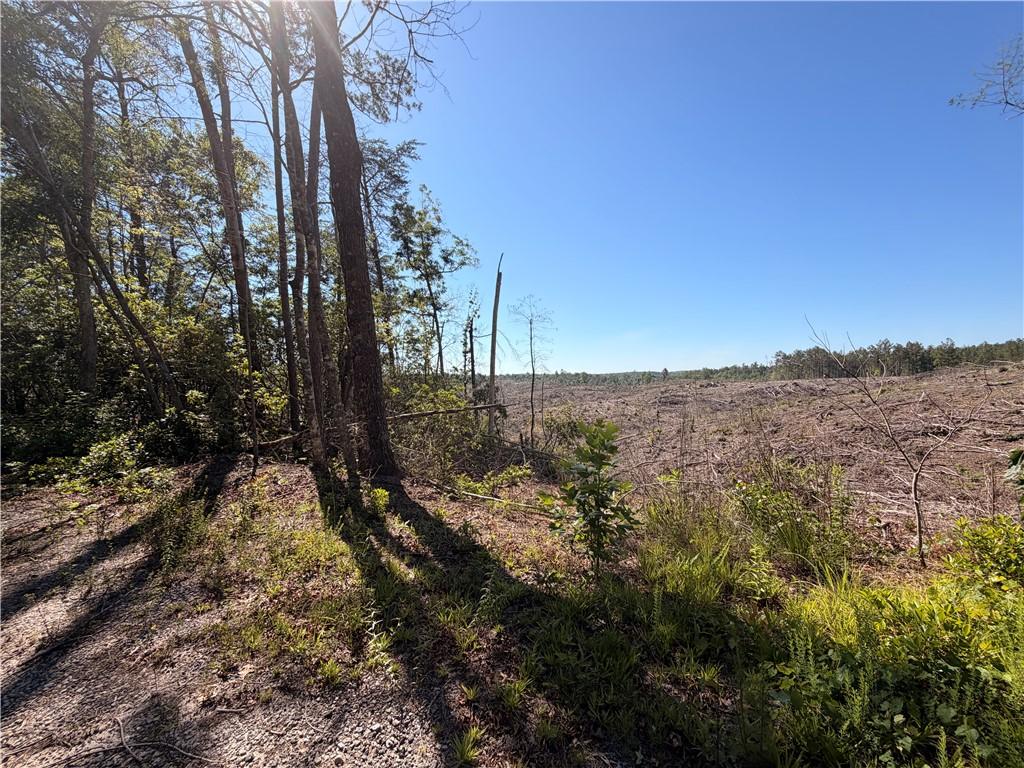 Image 2: A spacious, cleared lot offers ample room for new