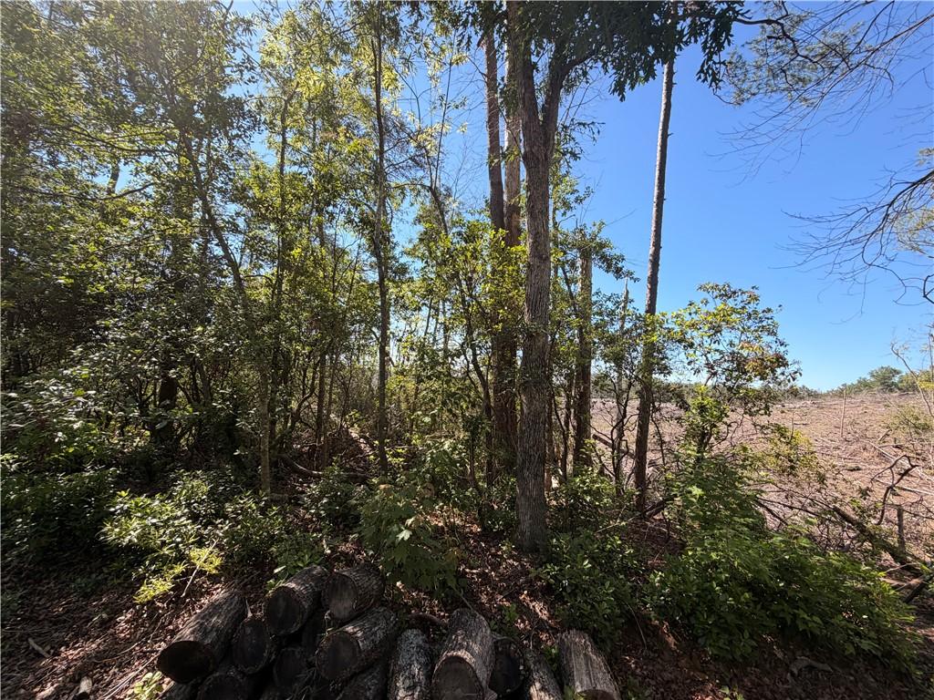 Image 3: Mature trees and abundant foliage offer natural be