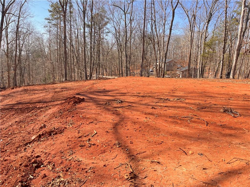 Image 2: This cleared lot offers an expansive canvas for bu