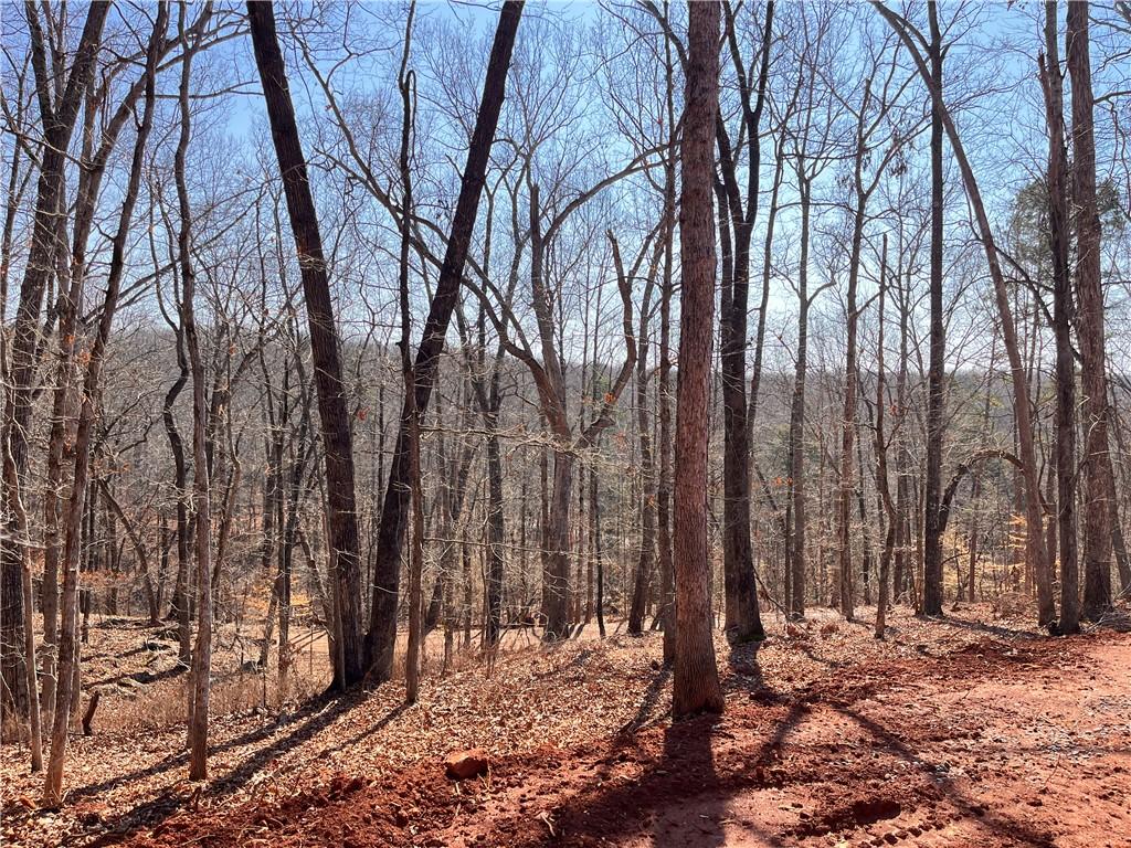 Image 3: This verdant expanse offers a serene, wooded setti