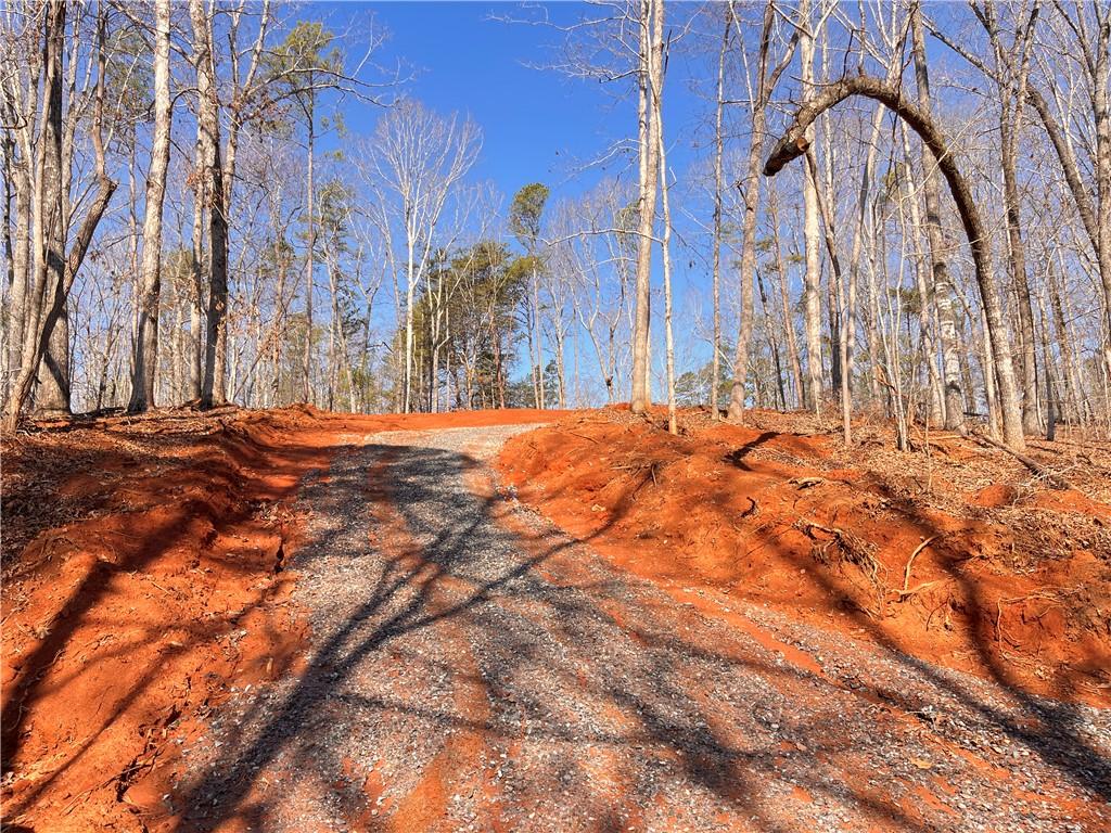 Image 4: A picturesque, secluded lot ready for your custom