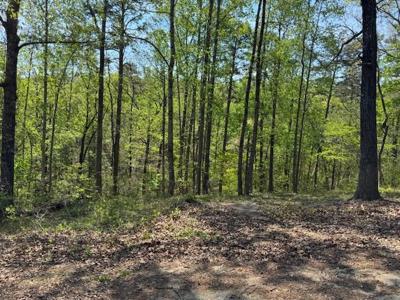 56 Cottonwood Court