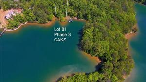 551 Leaning Pine #CKS-Ph3-81 Trail