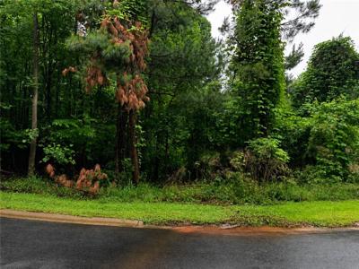 323 Ridgeside Court