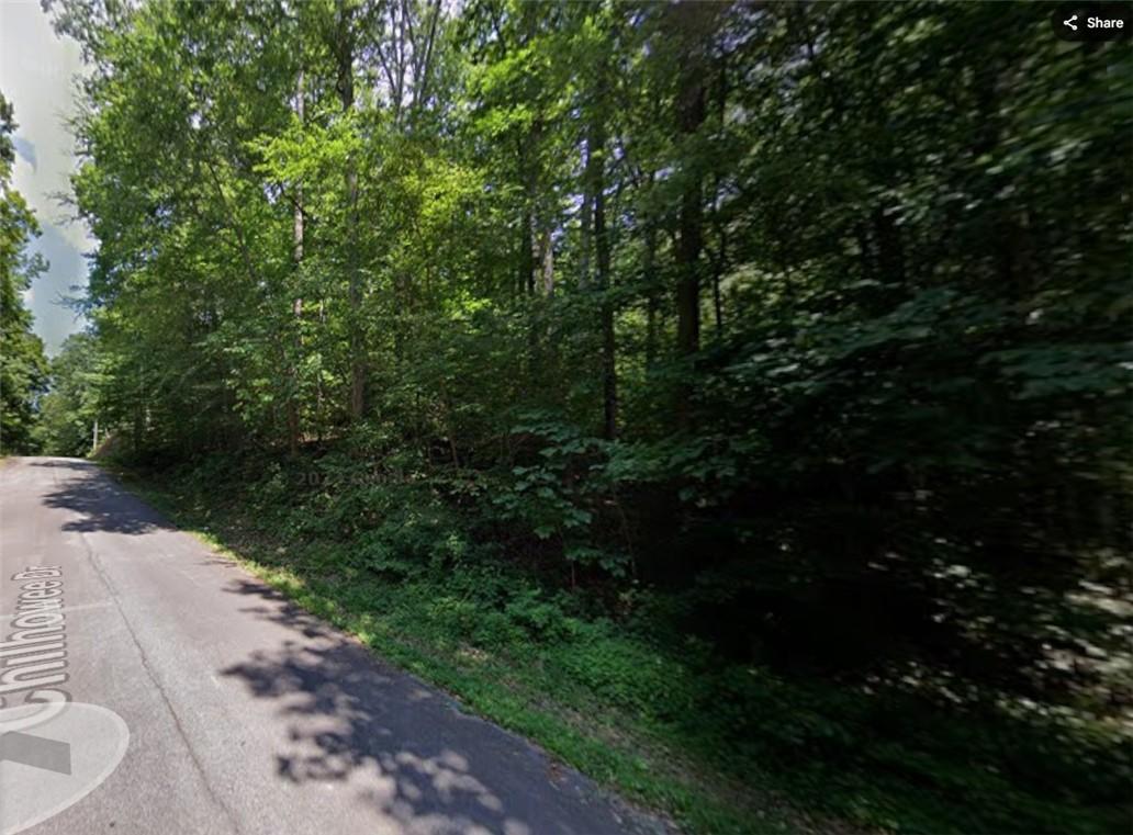 Image 1: A verdant, tree-lined lot offers a peaceful, seclu