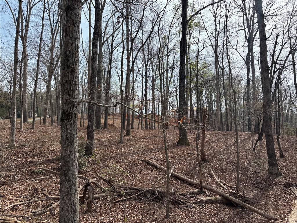 Image 2: Mature trees and abundant natural beauty define th
