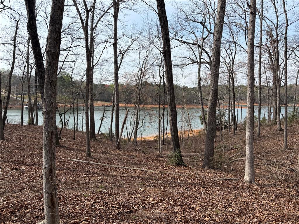 Image 3: This serene wooded lot offers direct waterfront ac