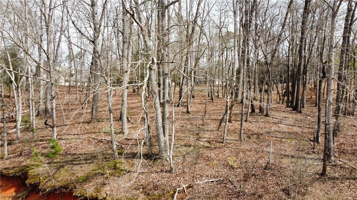 Image 4: This expansive, wooded lot provides a tranquil ret
