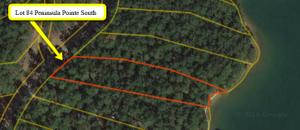Lot 84 Peninsula Pointe