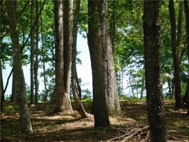 Lot 82 Waterscape Drive