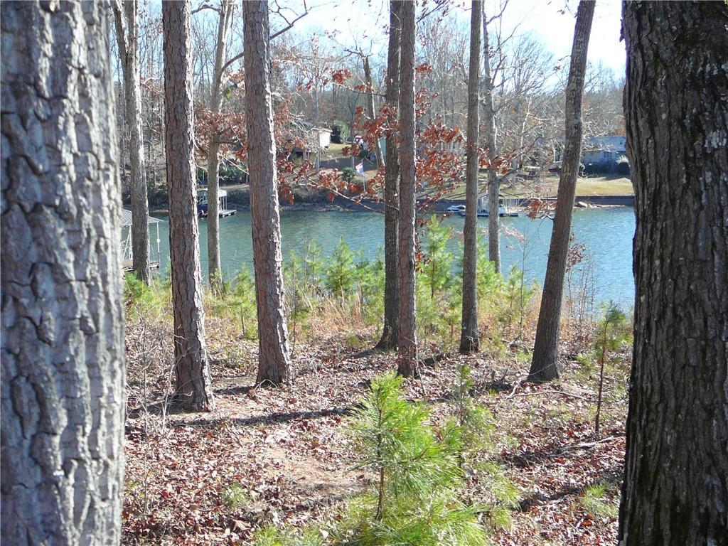 Image 2: A tranquil lake view from a wooded property, with