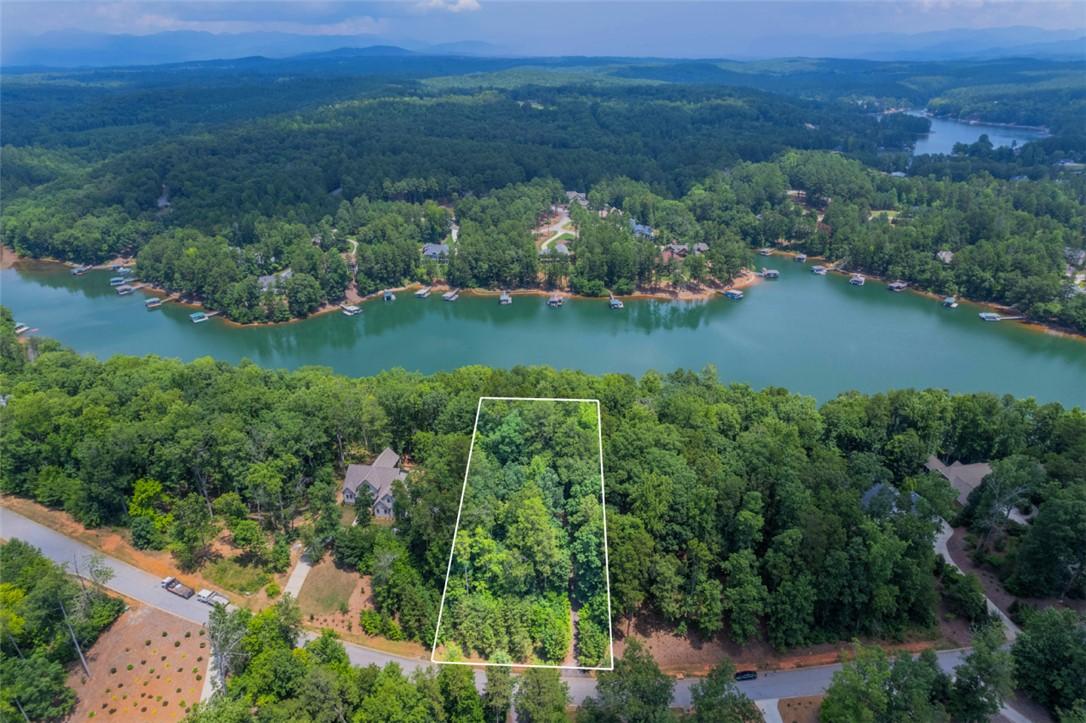 Image 2: This aerial view showcases a lush wooded lot with