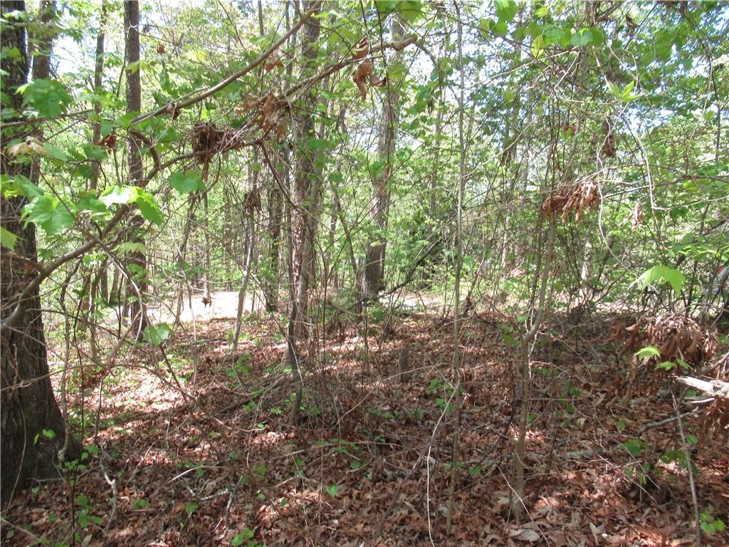 Image 3: This tranquil wooded lot offers a serene natural s