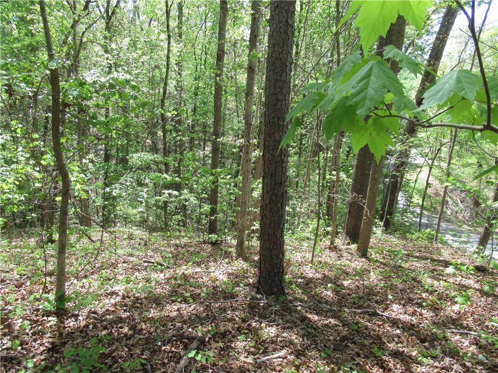 Image 4: A tranquil wooded lot offers a private, verdant se
