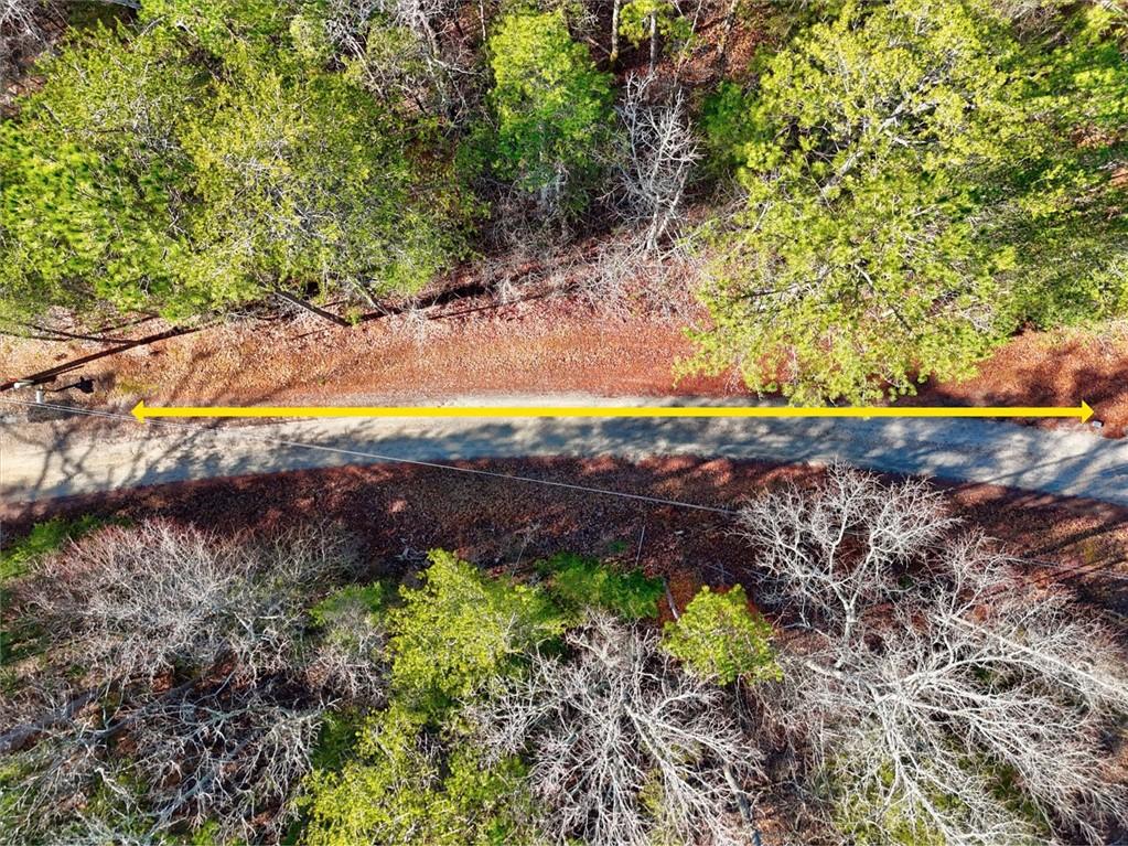 Image 3: Explore this expansive lot offering abundant space