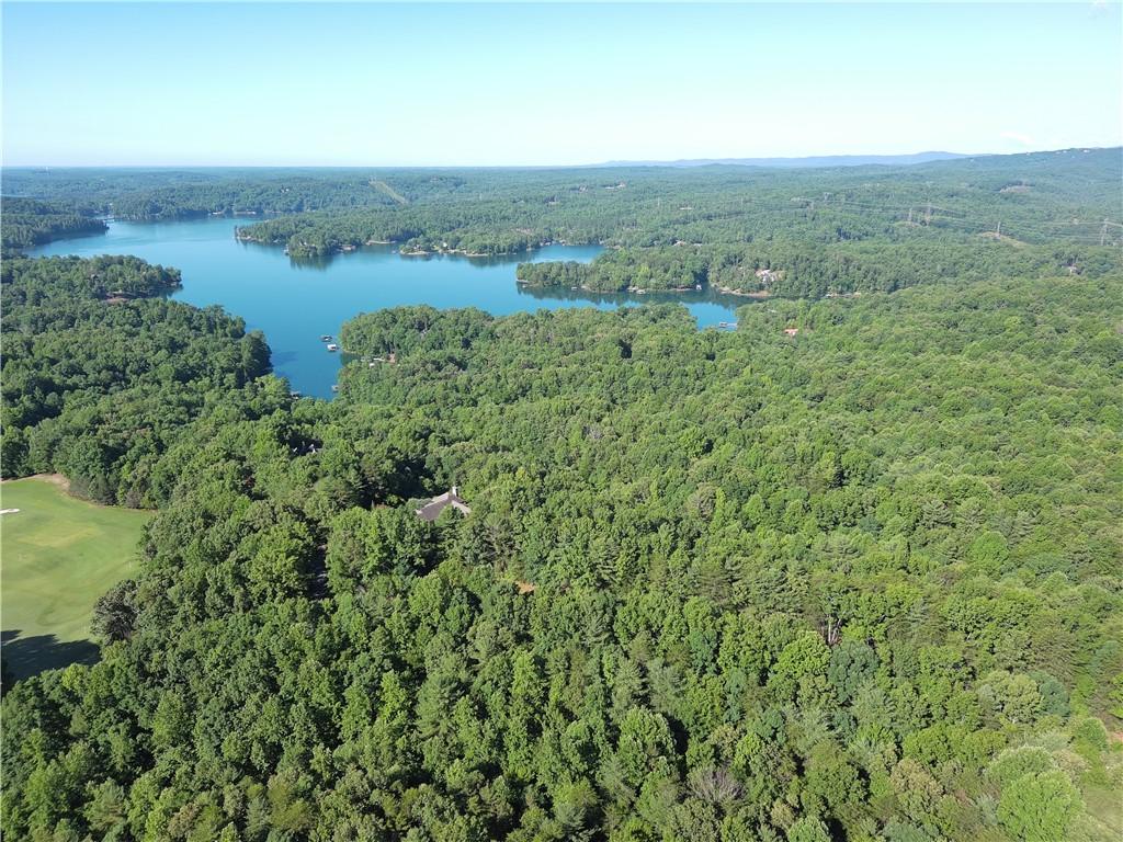 Image 3: A tranquil lake view from an aerial perspective re