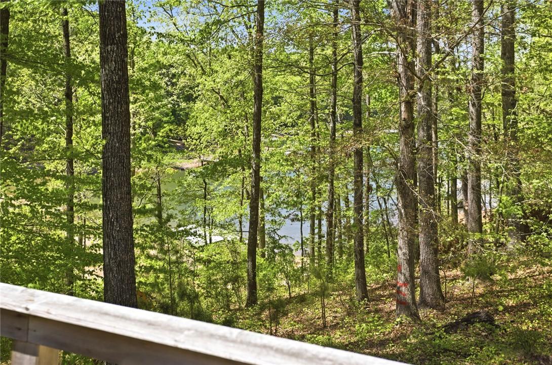 Image 4: This serene woodland scene overlooks a shimmering