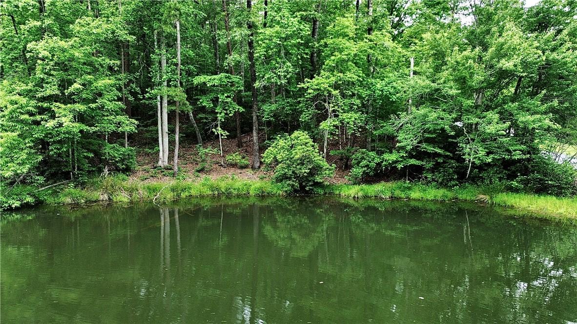 Image 3: Pond Front