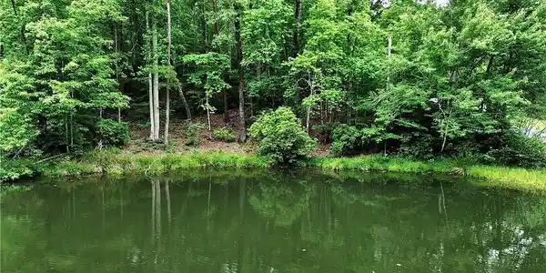 Image 3: Pond Front