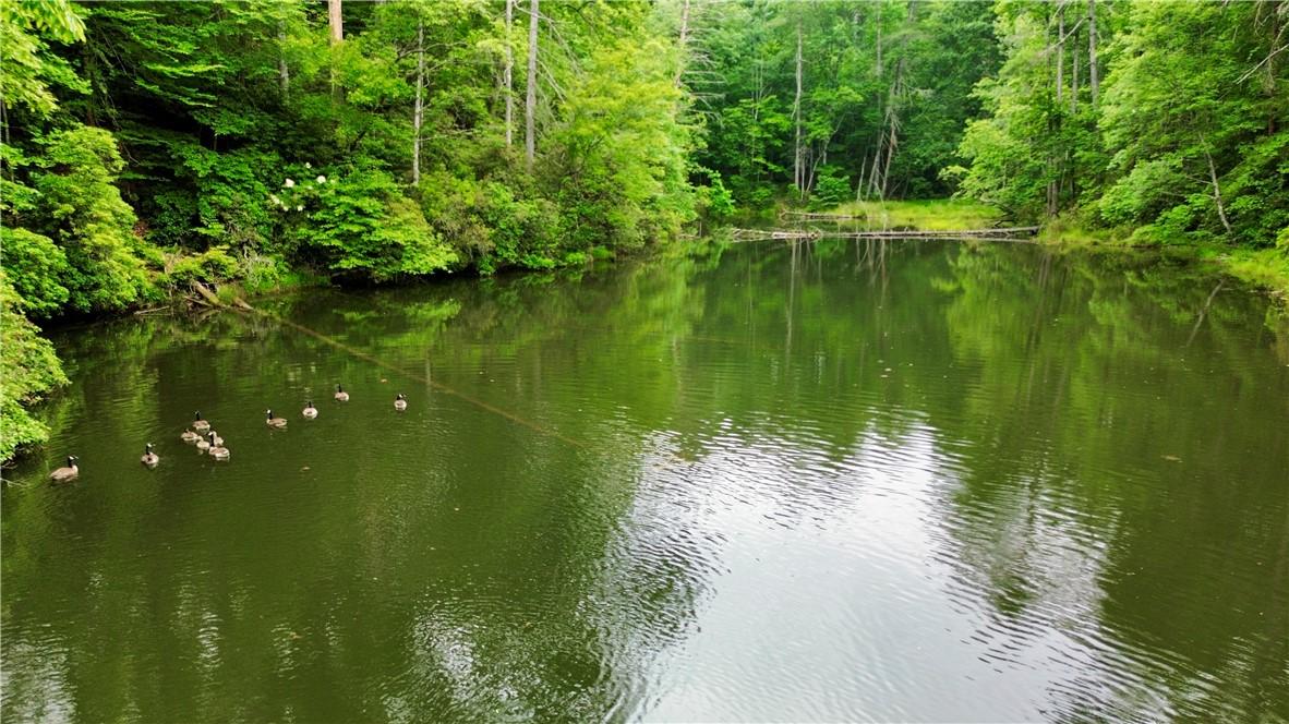 Image 4: Pond Front