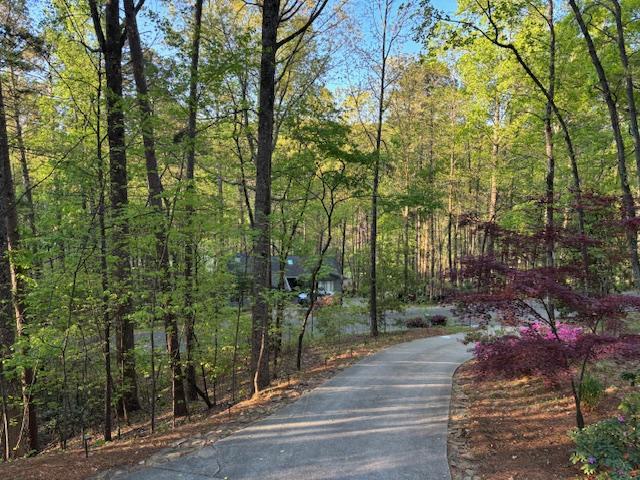 Image 4: A tranquil tree-lined driveway leads to a secluded