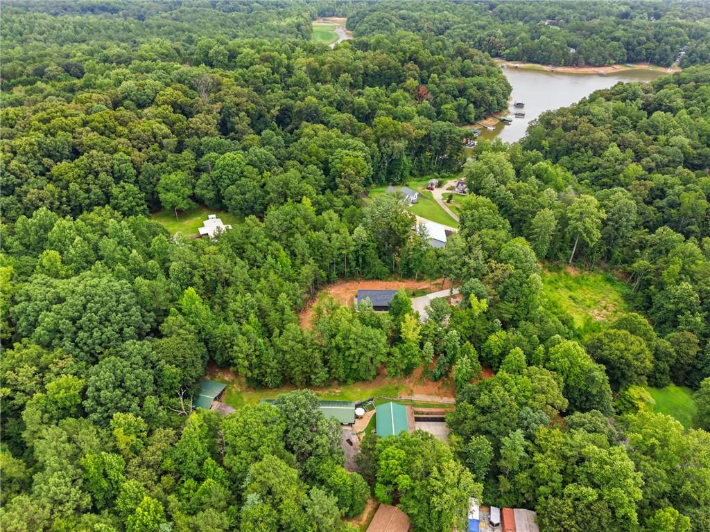 Image 2: Vast, verdant forest embraces a secluded property