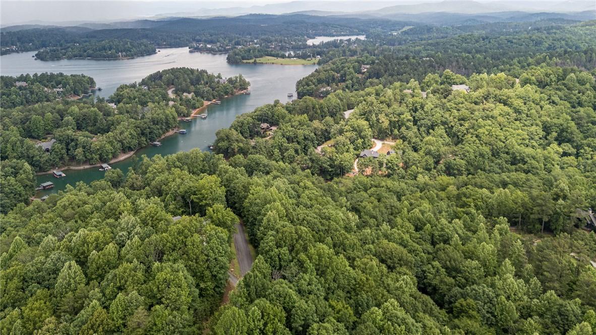 Image 2: Discover vast tree-lined expanses and serene lakef
