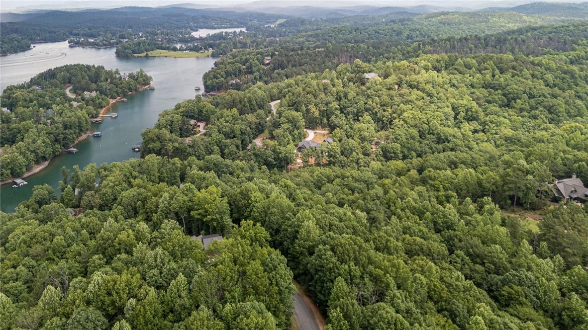 Image 3: An aerial perspective reveals a serene lakefront c